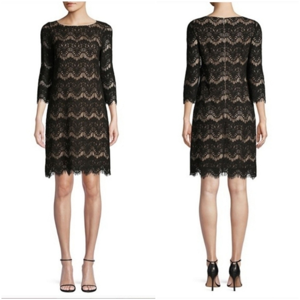 Eliza J 3/4 Sleeve Navy Blue Nude Illusion Lace Dress